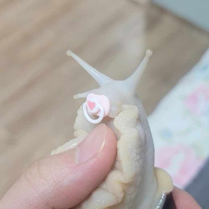 shadoomf🪲🇵🇸(homunculus enjoyer) tweet media