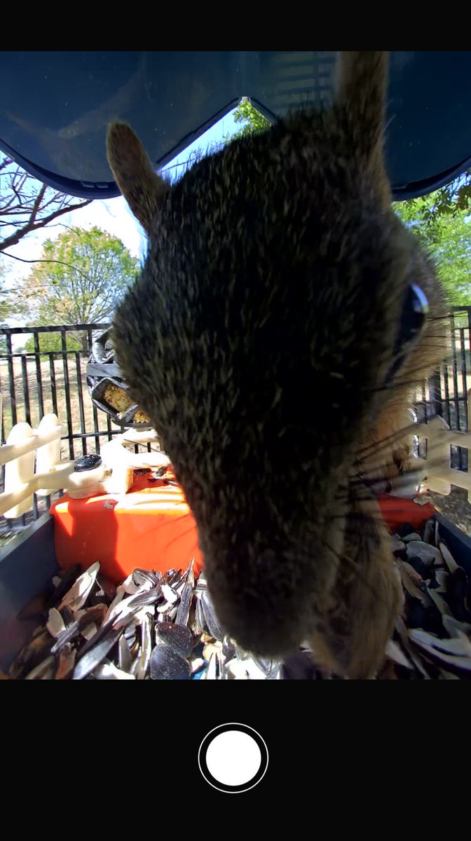 Reece 🧡 tweet media