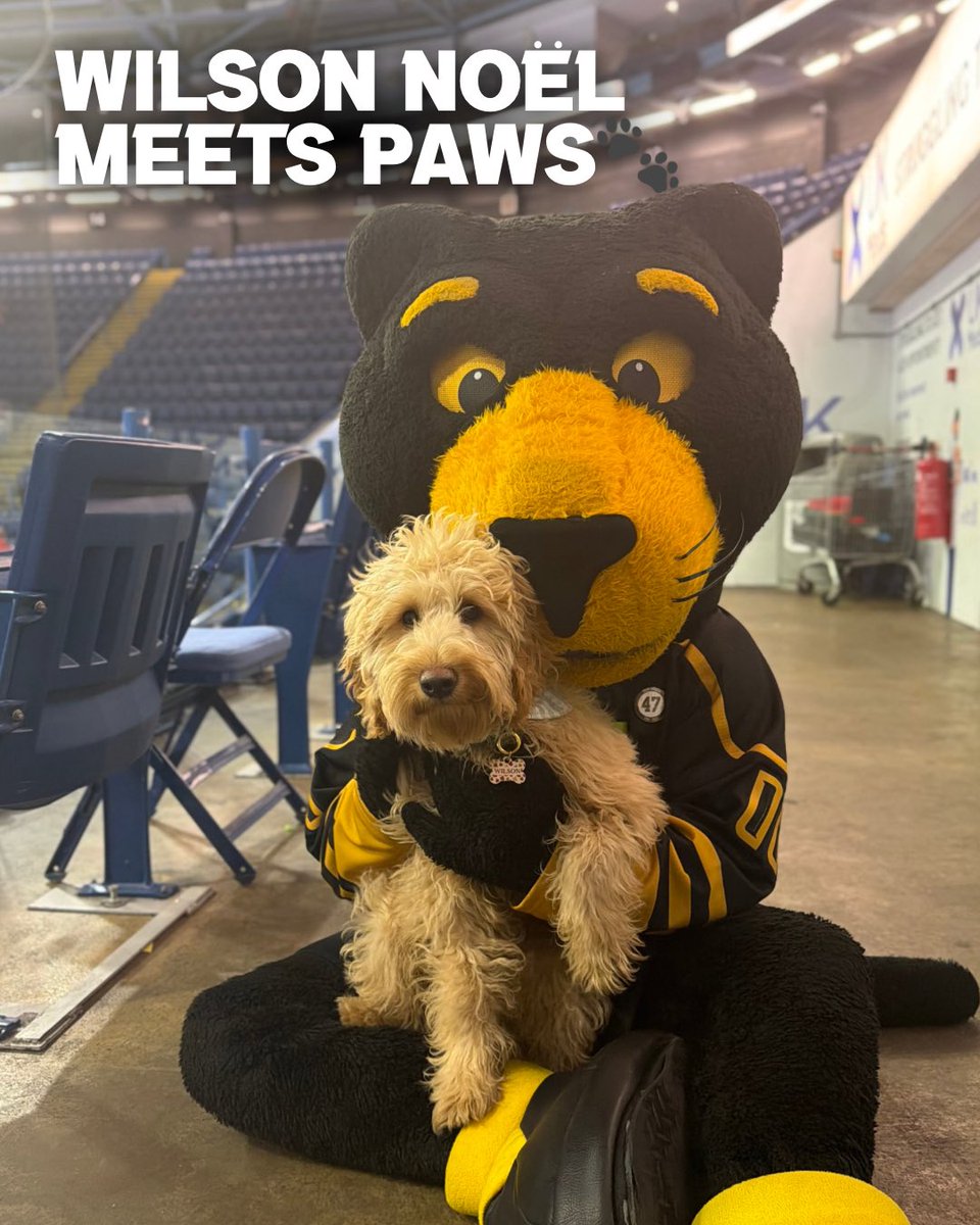 Nottingham Panthers tweet media