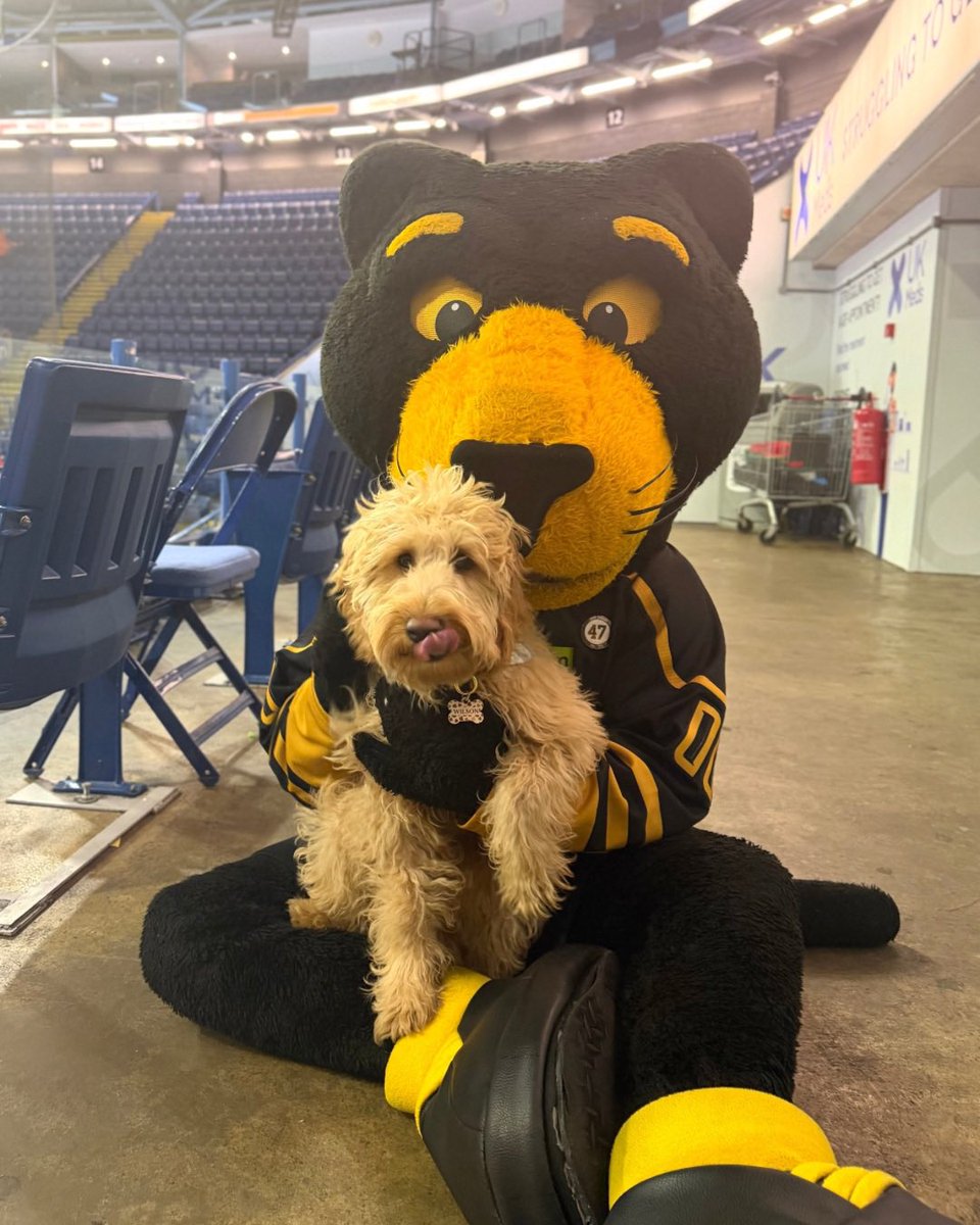 Nottingham Panthers tweet media