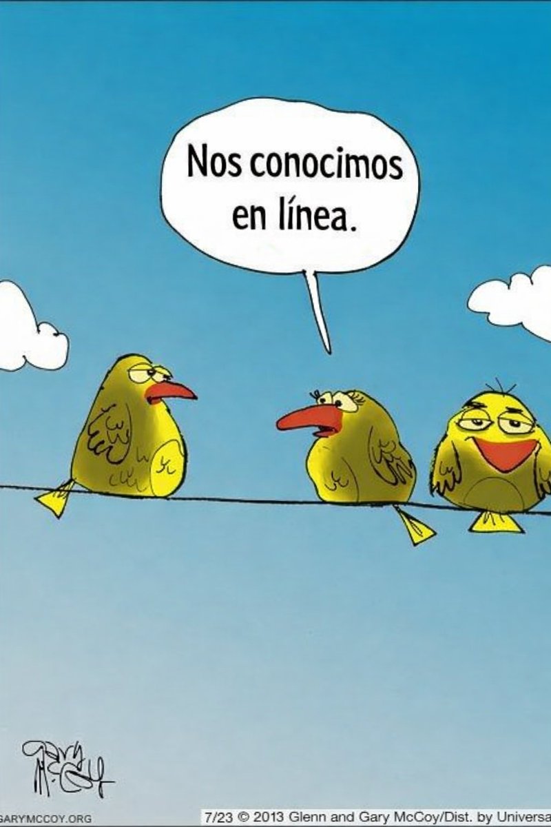 Carla Ponti tweet media