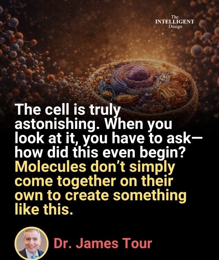 Not Evolution tweet media