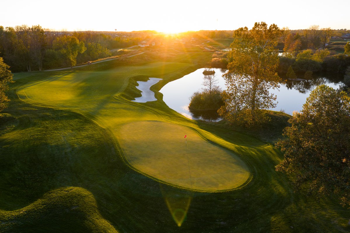 Dormie Network tweet media