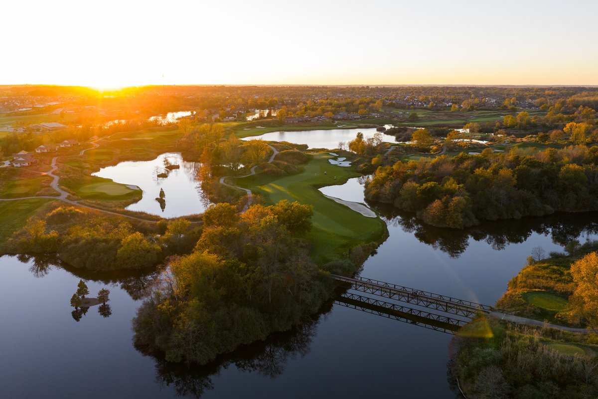 Dormie Network tweet media