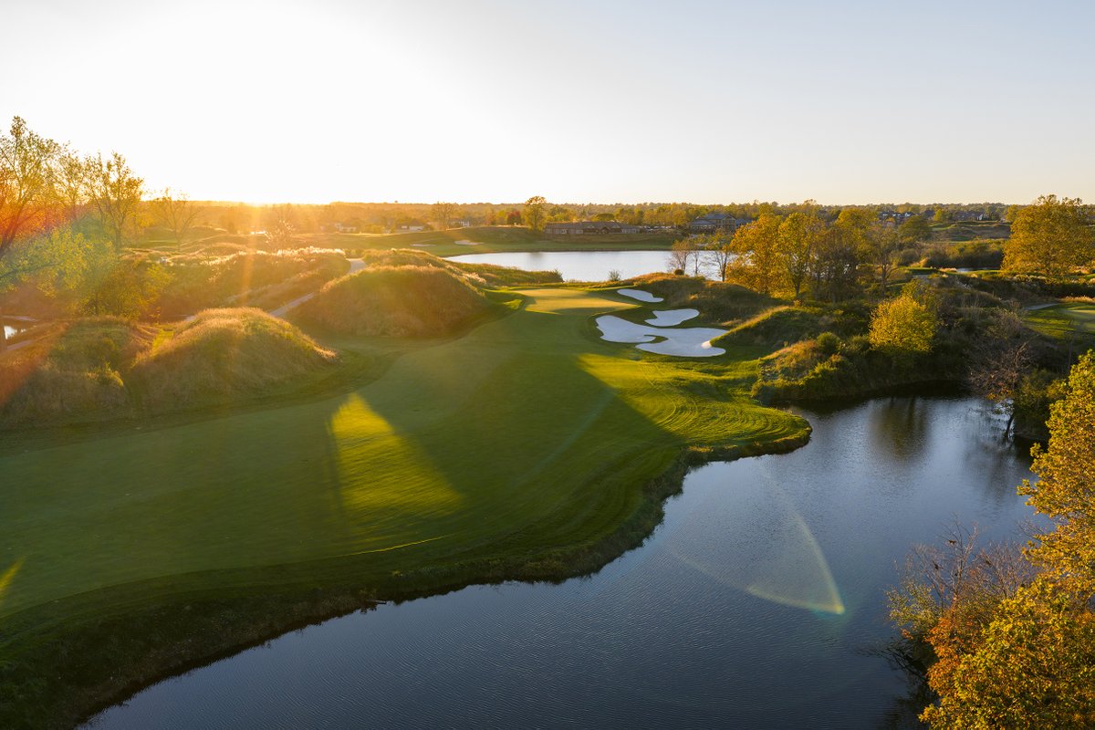 Dormie Network tweet media