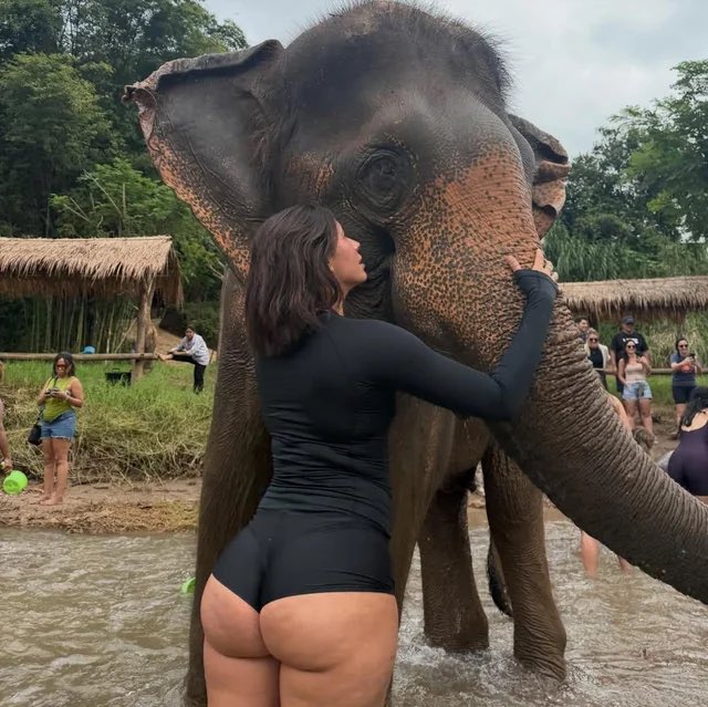 BrutalFanZ tweet media