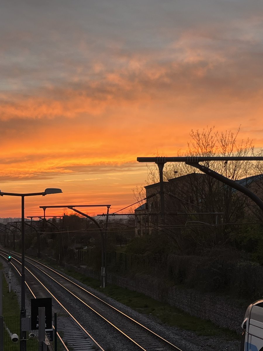 Robert stan account tweet media