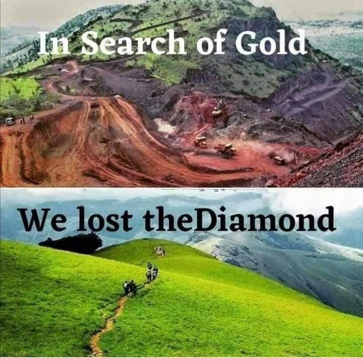 Mountain Cabins tweet media