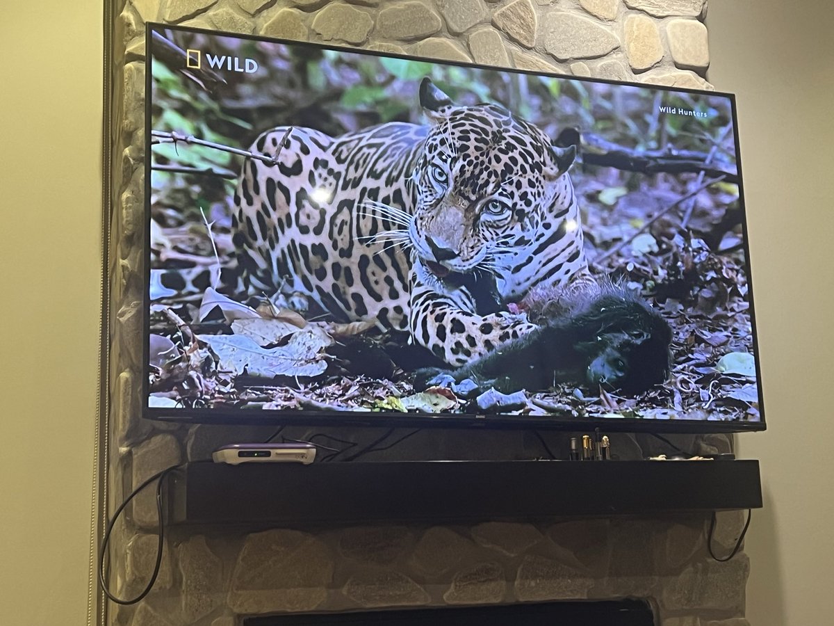 تعاليل tweet media