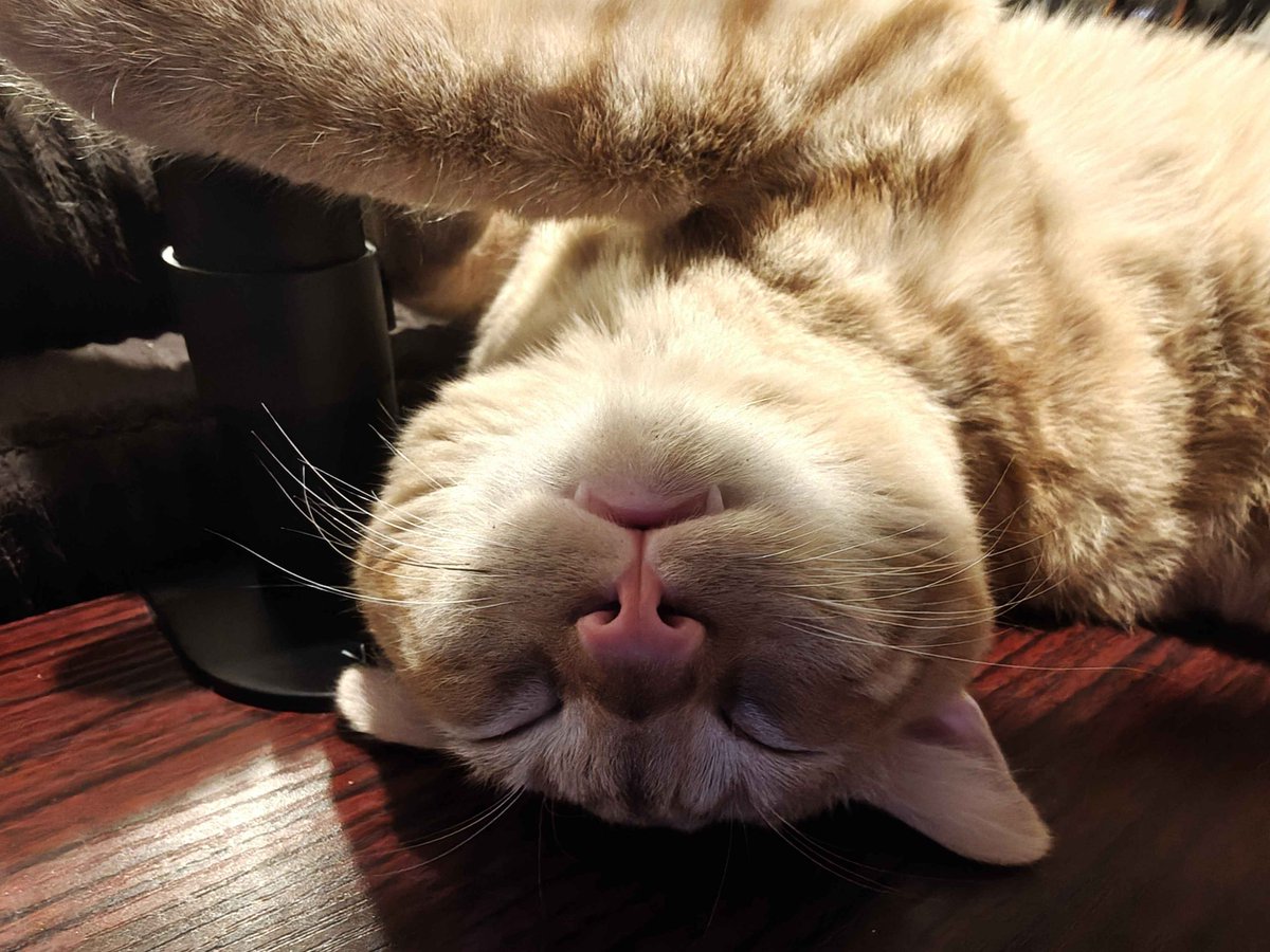 Princess!!! tweet media