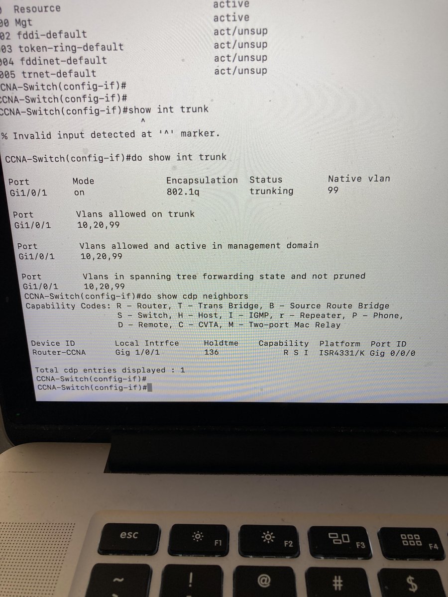 NetworkRandoX tweet media