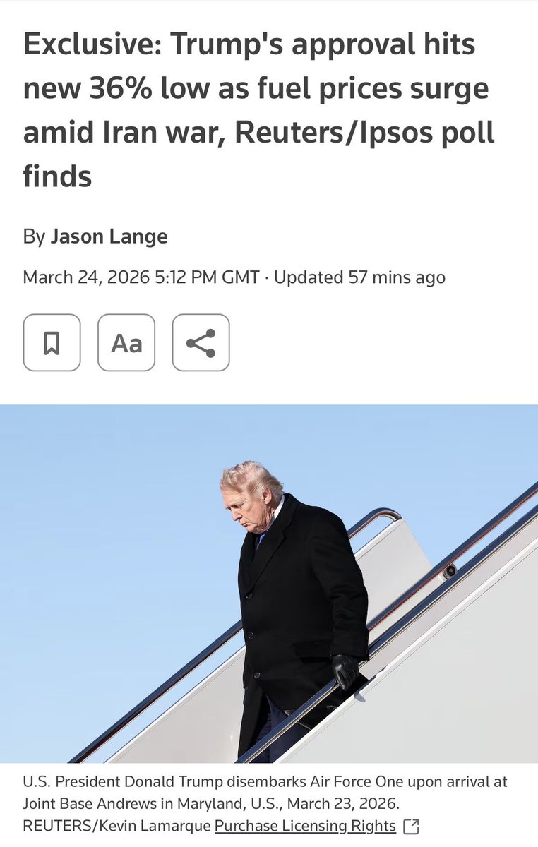 Wolfin' Howl tweet media