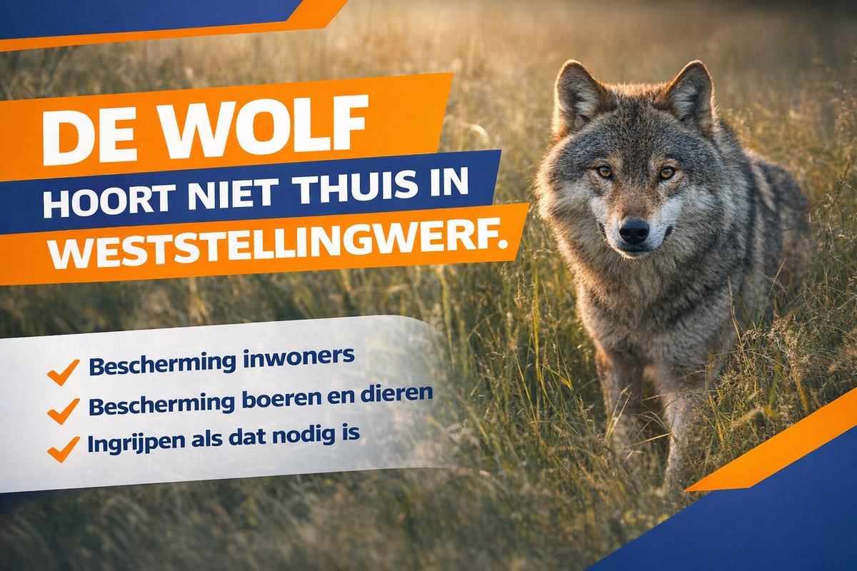 roeloftheun's tweet photo. De wolf hoort niet thuis in Weststellingwerf.

Er is een motie aangenomen die zorgt voor een duidelijke en juridisch houdbare aanpak van probleemwolven. Goed dat de VVD in de Tweede Kamer nu doorpakt 💪 

1/3 https://t.co/qC8hQRcYWS