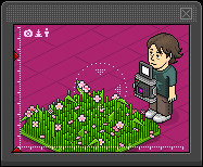 Xemnas, Habbo Chef tweet media