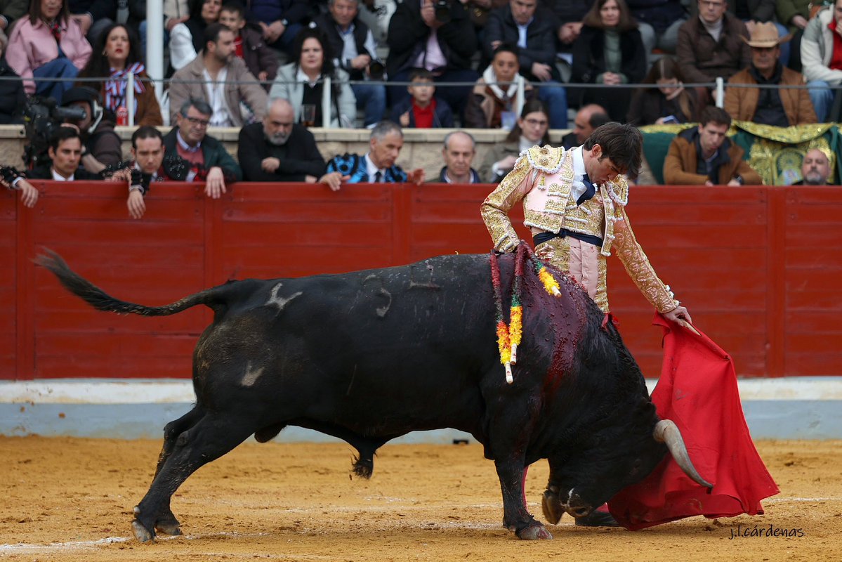 𝐀𝐃𝐑𝐈Á𝐍 𝐃𝐄 𝐓𝐎𝐑𝐑𝐄𝐒 tweet media