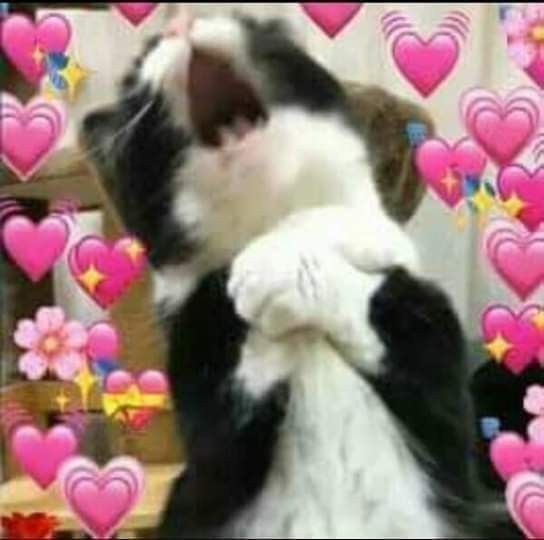 GhosterTD tweet media