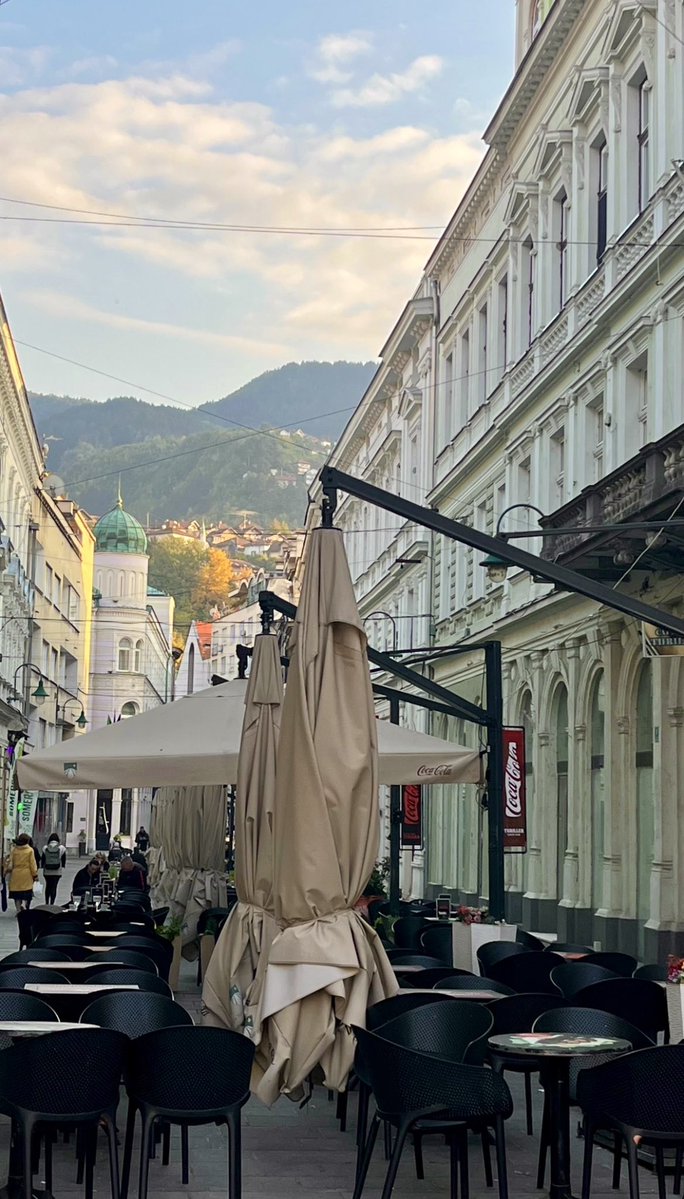 Browski🇧🇦🇹🇷 tweet media