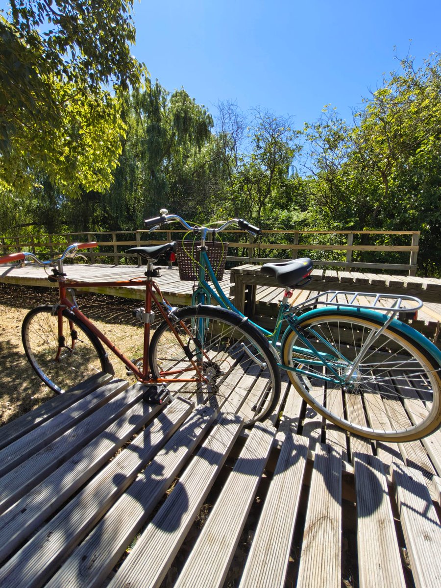 OBNI | ObjetoBicicleteadorNoIdentificado tweet media