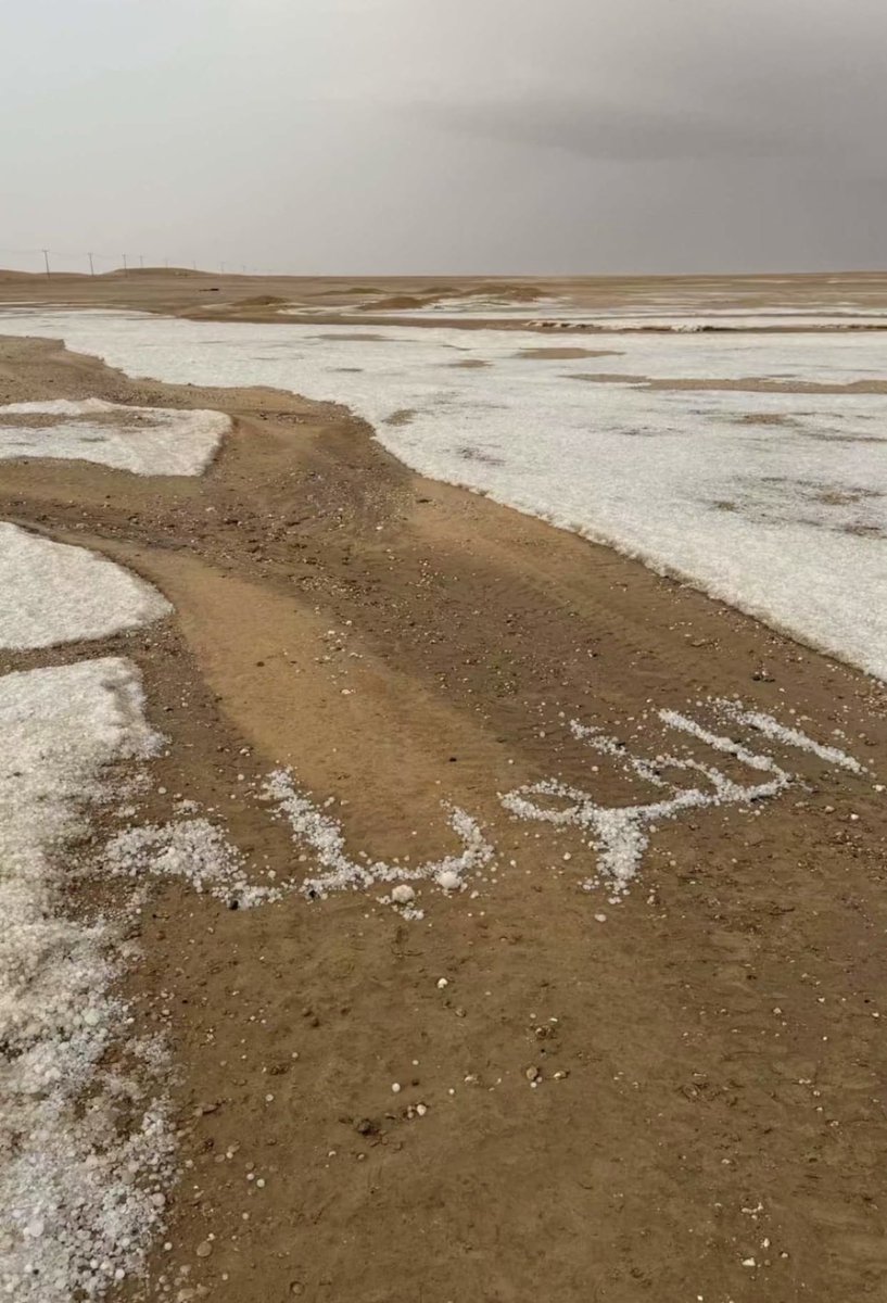 ناصر راشد العرق tweet media