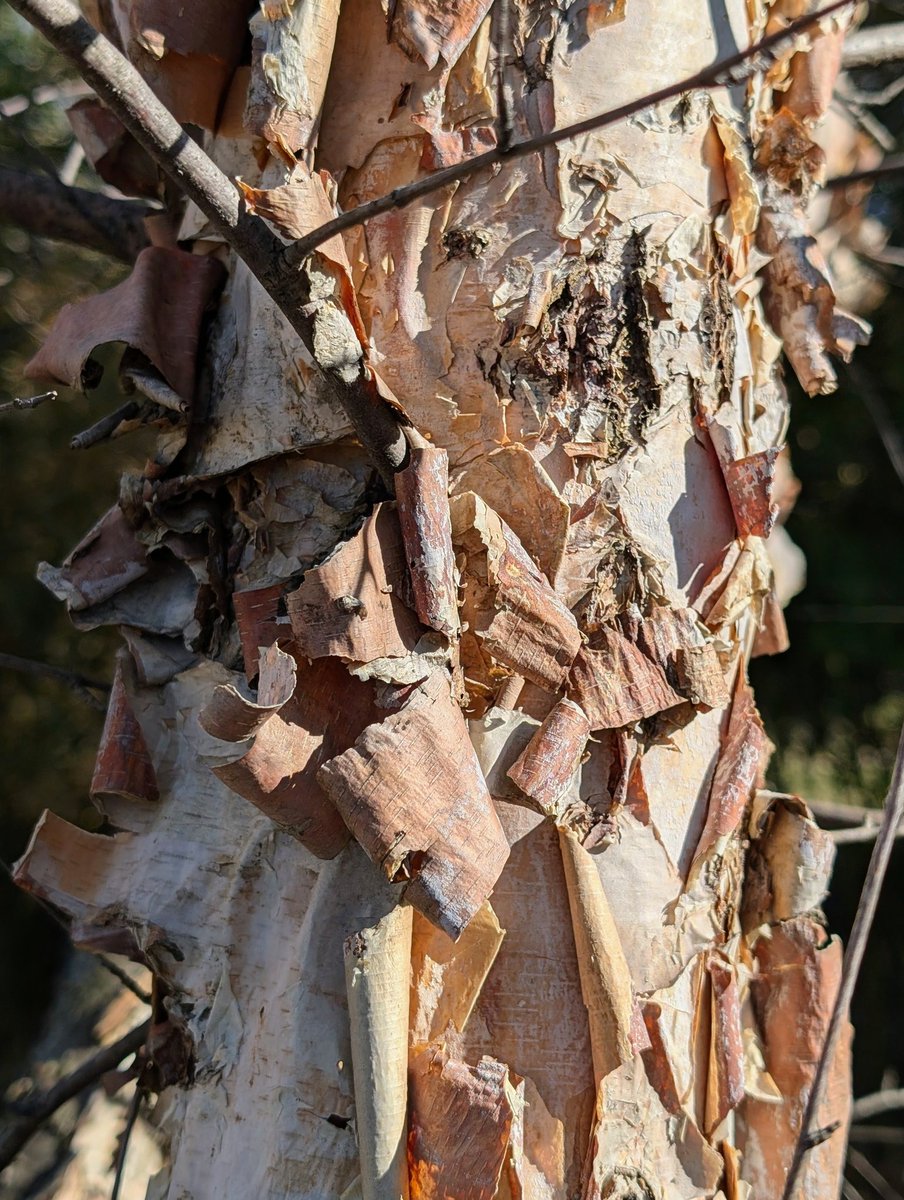 Tim_McDonnell tweet media