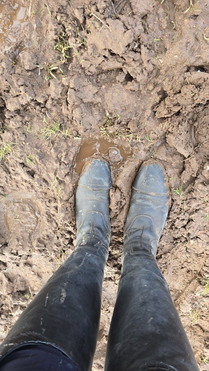 ᏰᏒᏋᏗ tweet media