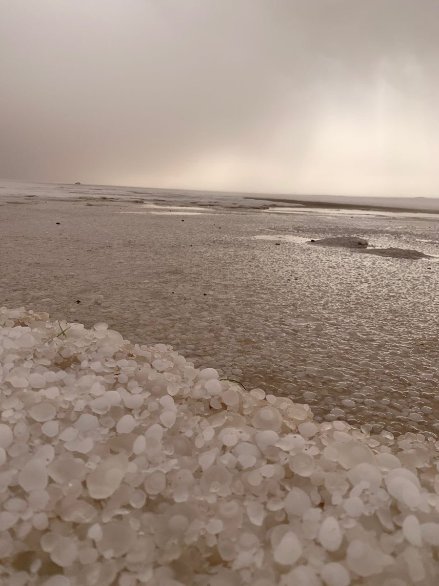 ناصر راشد العرق tweet media