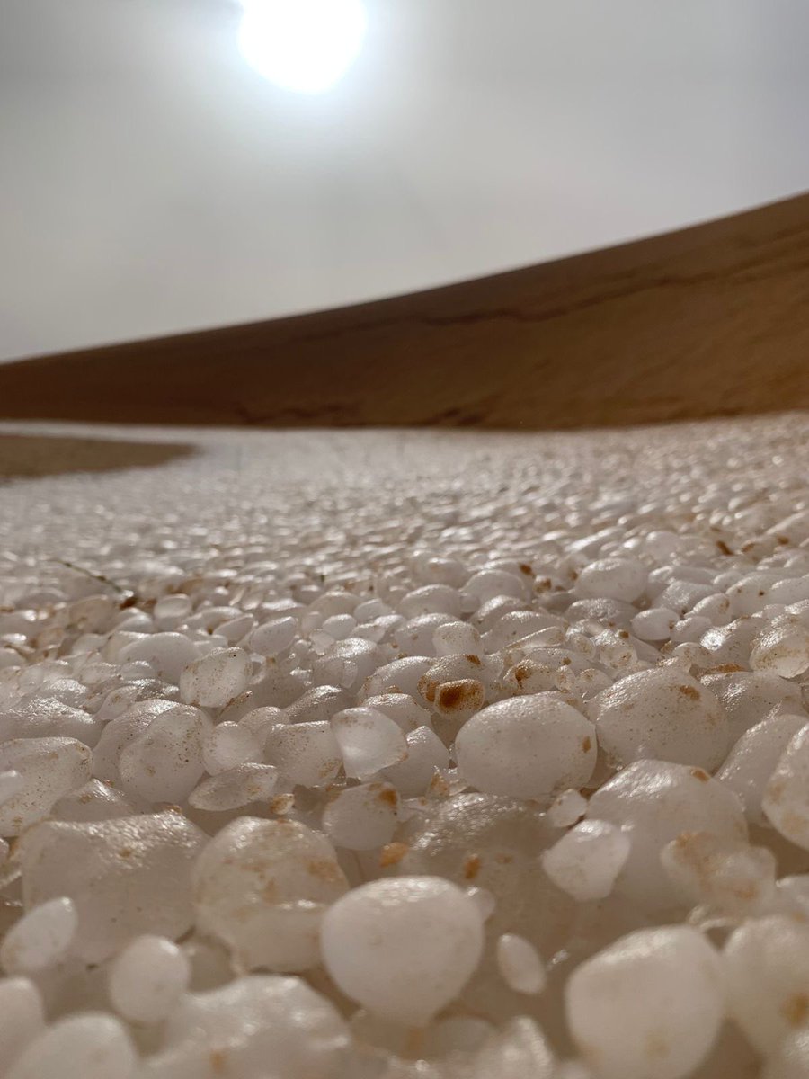 ناصر راشد العرق tweet media