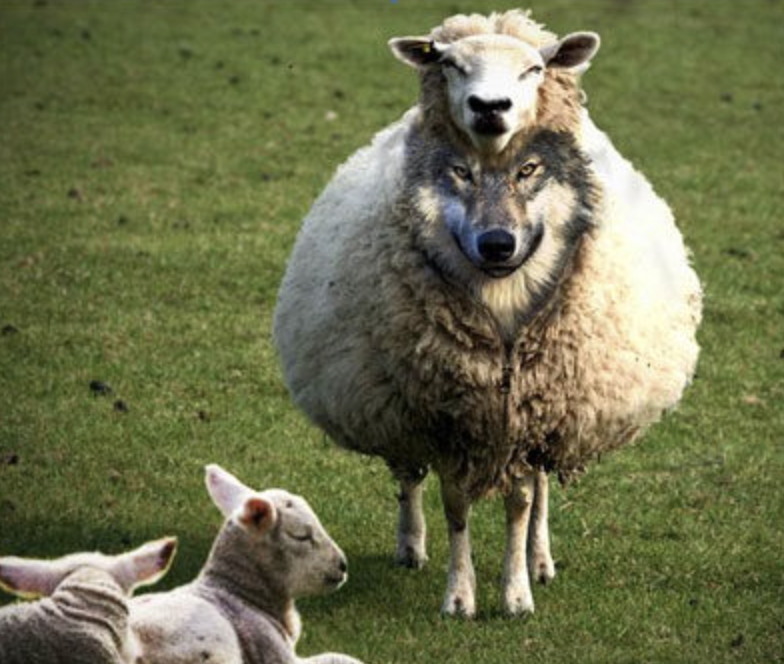 Wallstreet is excellent at selling shit deals packaged as safe yields. 

Next 2 months be mindful of any RWA yield coming thru tradfi. 

(private credits - but it wont be called that)

Your favourite VCs and founders will tell you it's the best place to park money during bear.