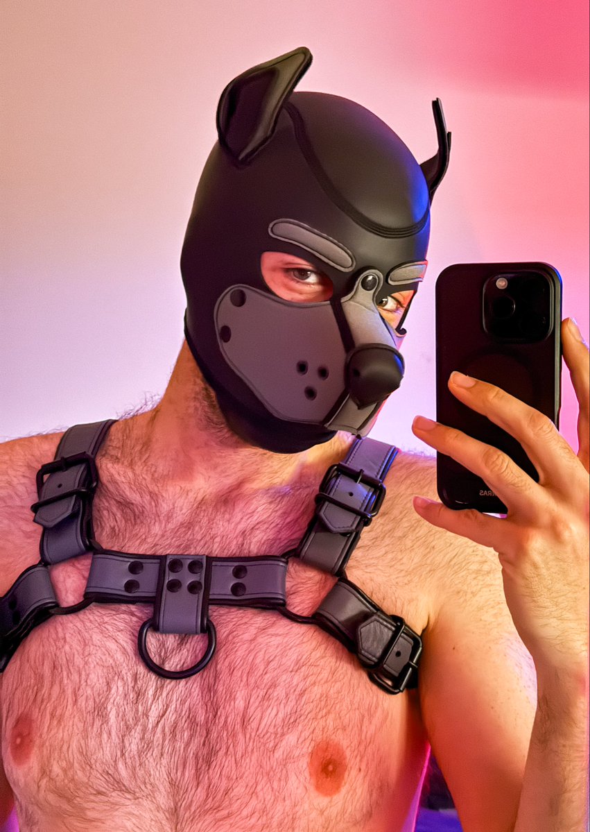 SwitchySoutherner 🔜 Animalz tweet media