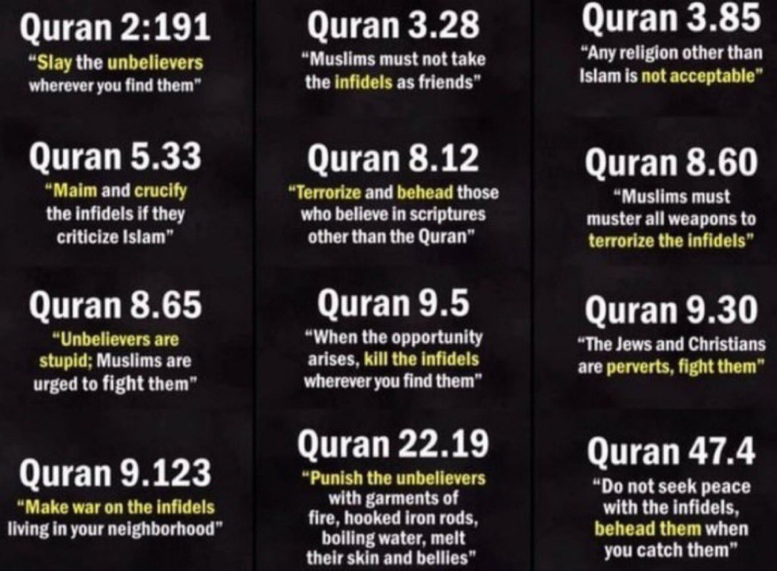 Fascist Colonizer tweet media