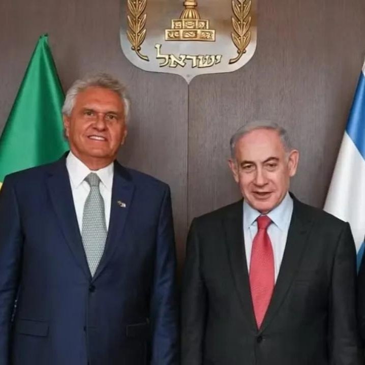 Emílio Vasconcelos ☘️ tweet media