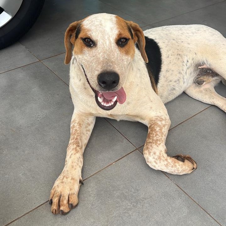 thai 🐼 tweet media