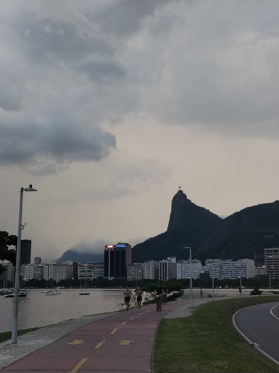 Pedrian🦬 tweet media