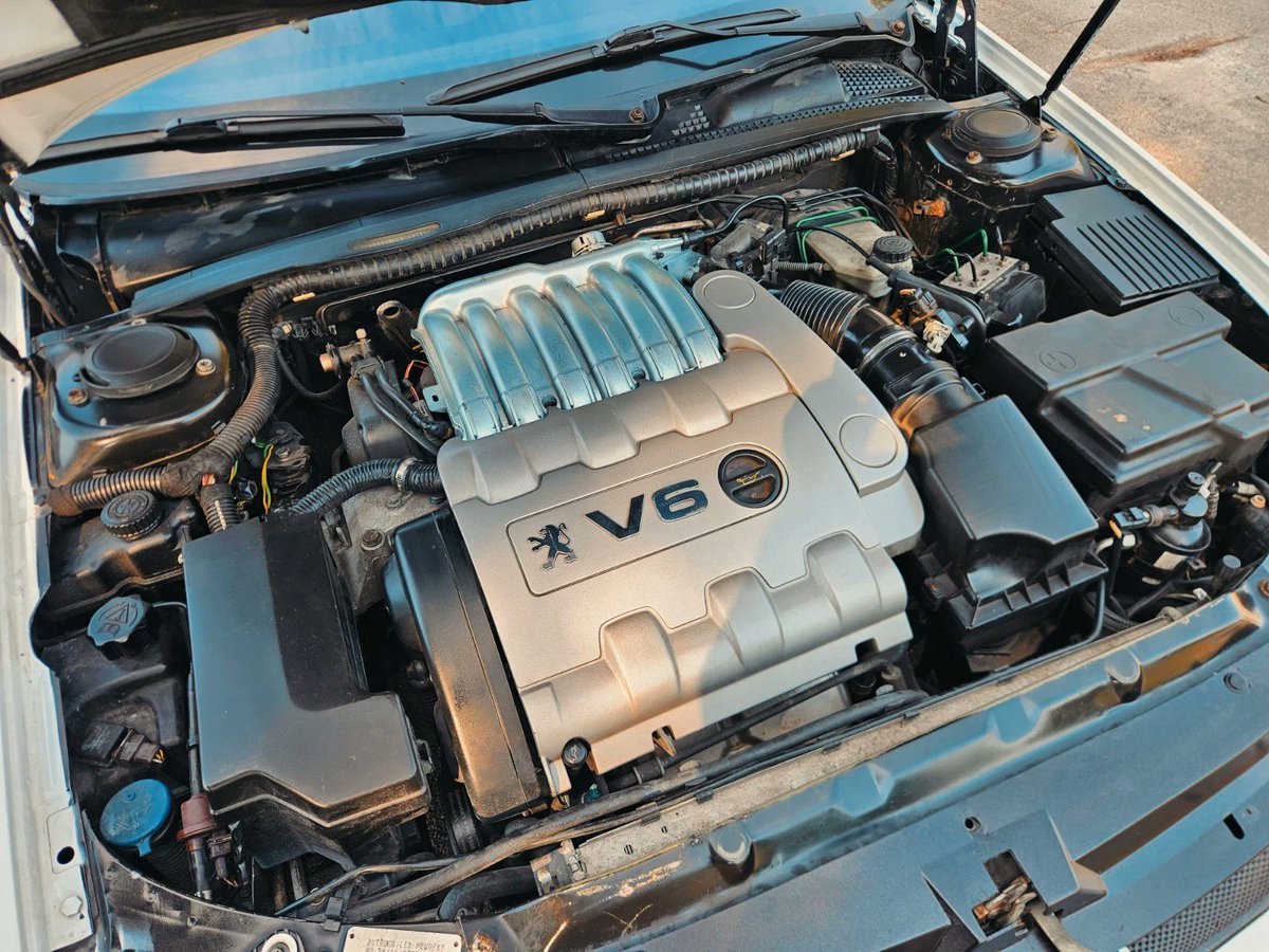 UNICARNS tweet media