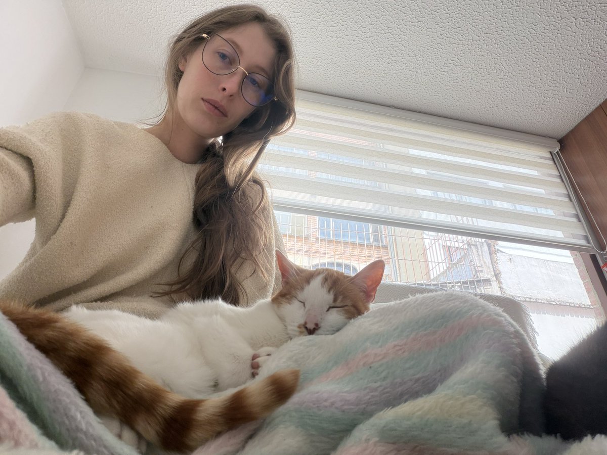 Freyja 🦊🍂 tweet media