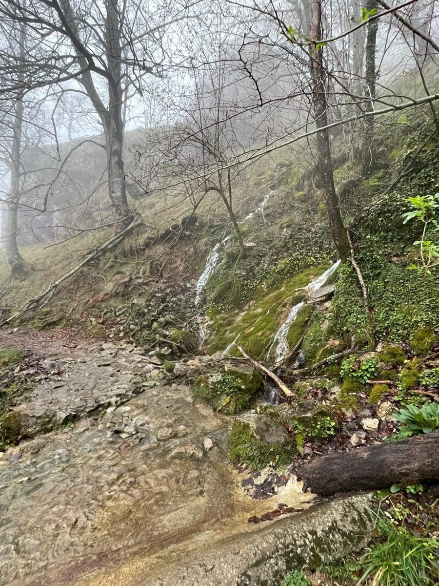 Dulzaina tweet media