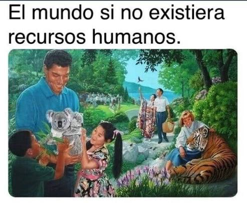 NO A LA VUELTA DE GALLARDO tweet media