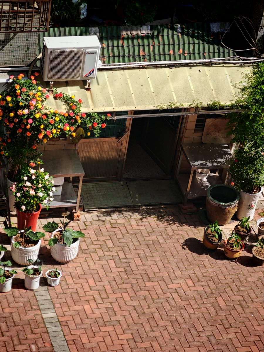 David J. Fisteac tweet media