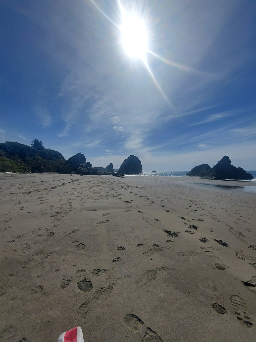 jsrackers's tweet image. 18 months #sober today, without a drink, drug, or pill. By the grace of God, keeping my side of the street clean, and doing the next right thing. 
#SoberMovement2026