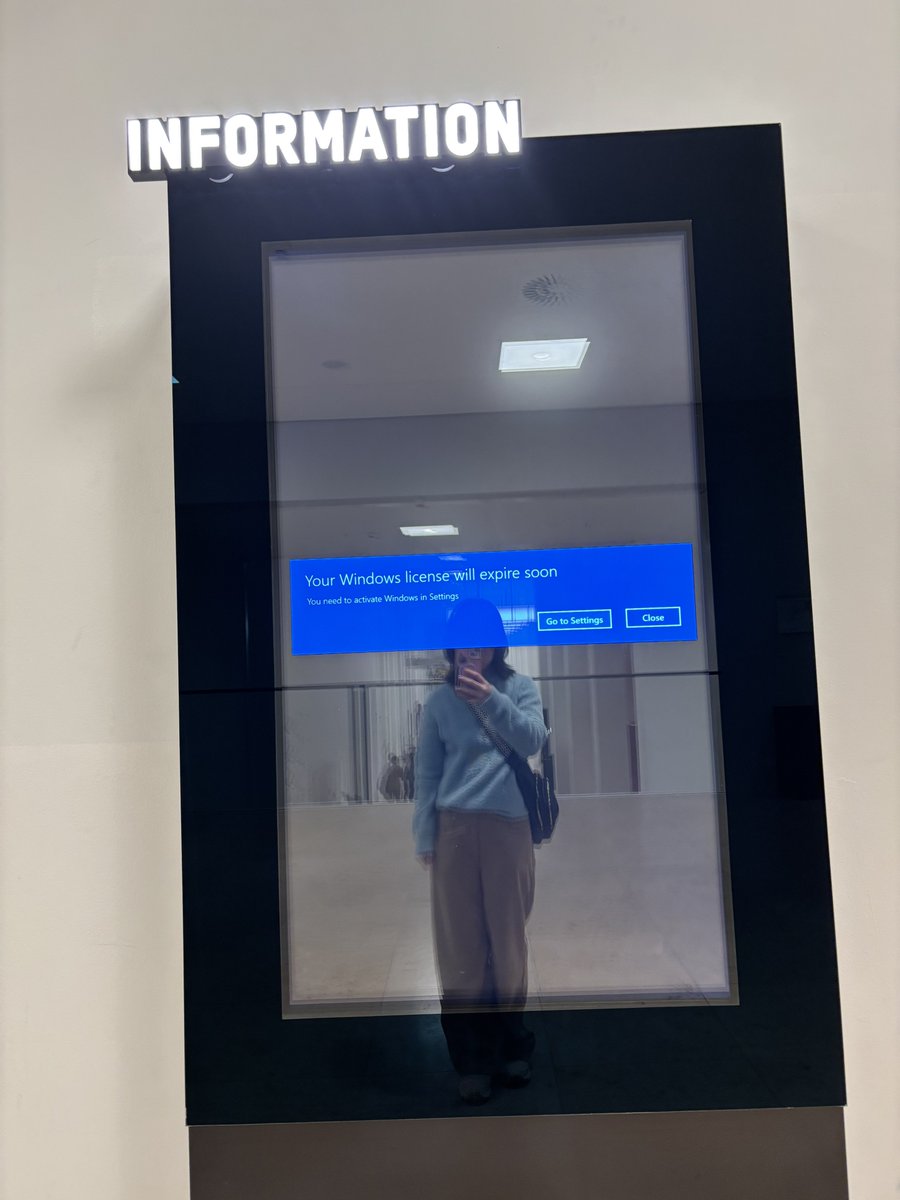 ainsley 🍋 tweet media