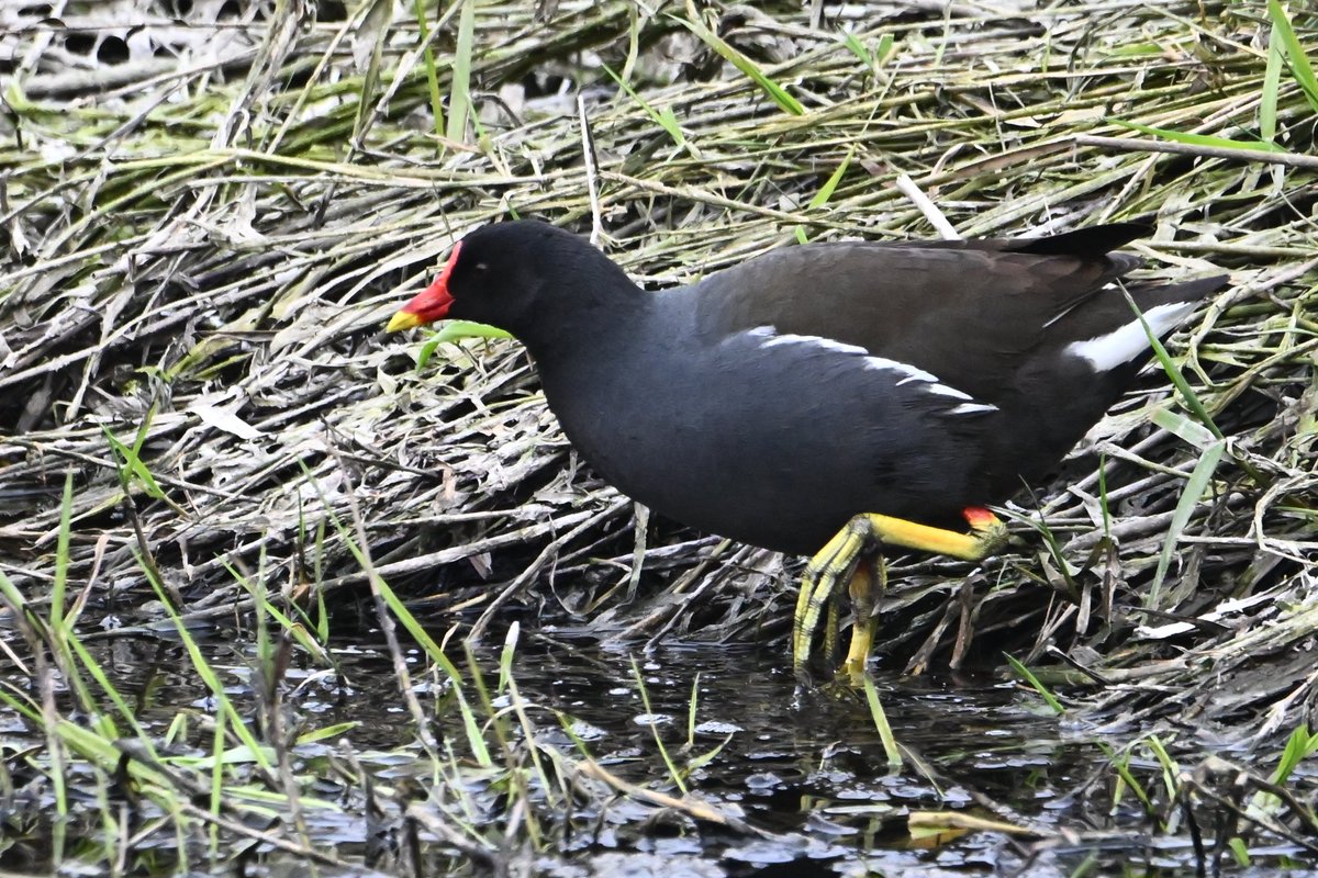 Jonlet raymond tweet media