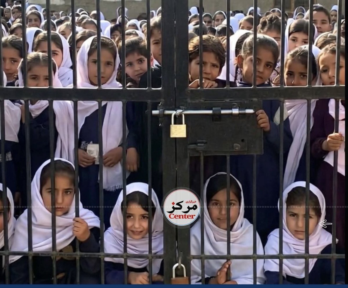 Mohammad Reza tweet media