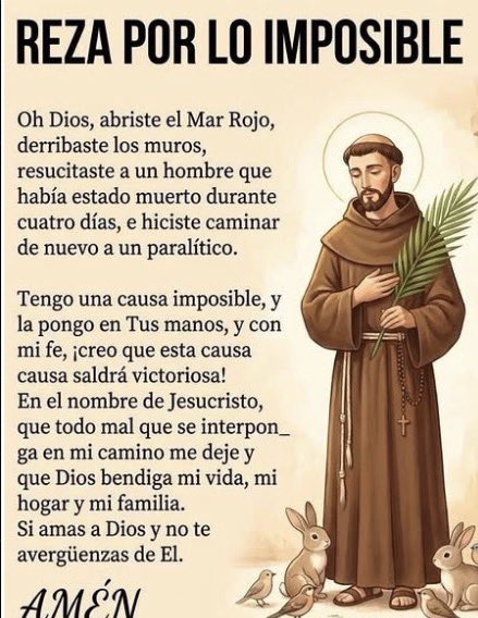 San Francisco de Asis tweet media