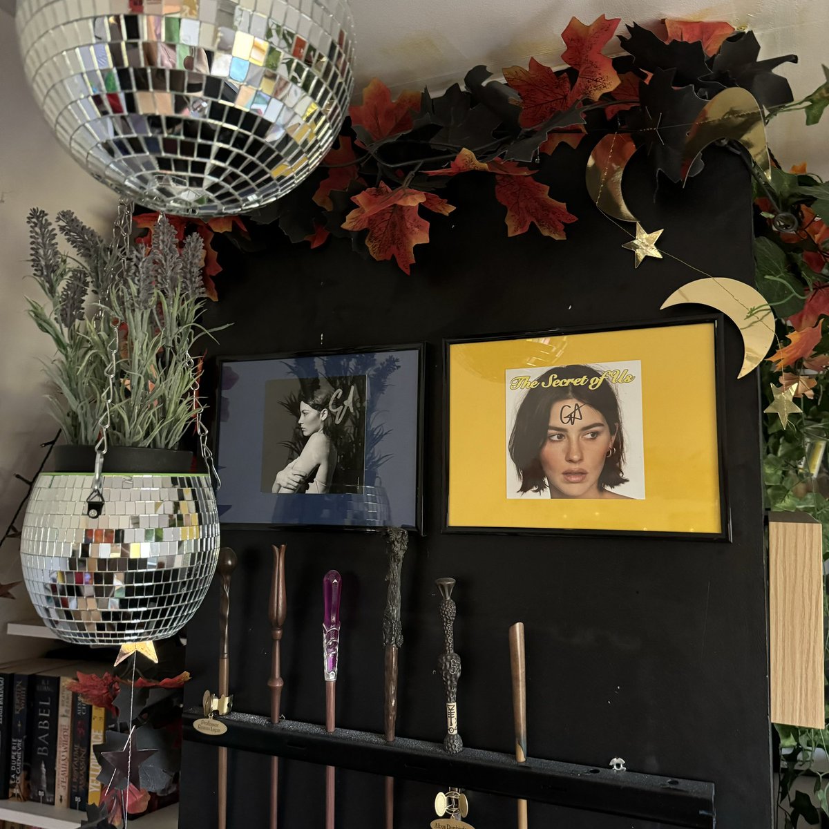 𝐛𝐞𝐭𝐭𝐲’𝐬 𝐠𝐚𝐫𝐝𝐞𝐧 tweet media