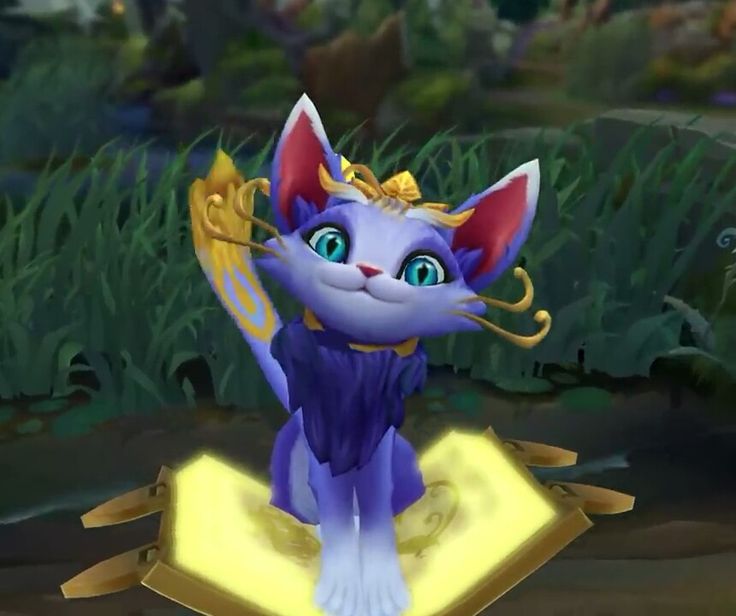 acervo yuumi tweet media