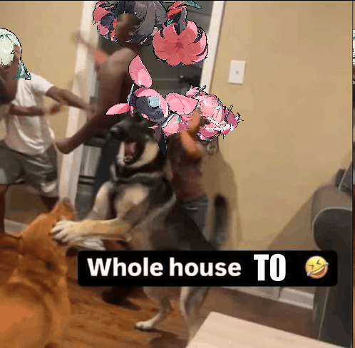 5iVE STAR (@thimbiee) on Twitter photo 