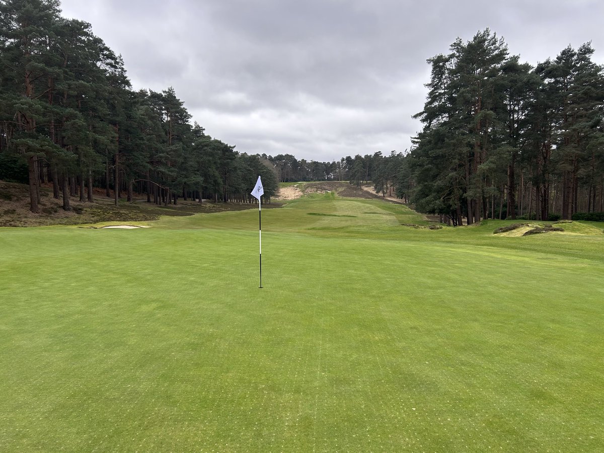 grnkeepergrant's tweet photo. Many thanks to George and the Sunningdale team for their hospitality today. Showing the Parkstone GKs the recent new course changes and future plans…incredible 🤩🤩🤩 https://t.co/HUwMYKkAeN