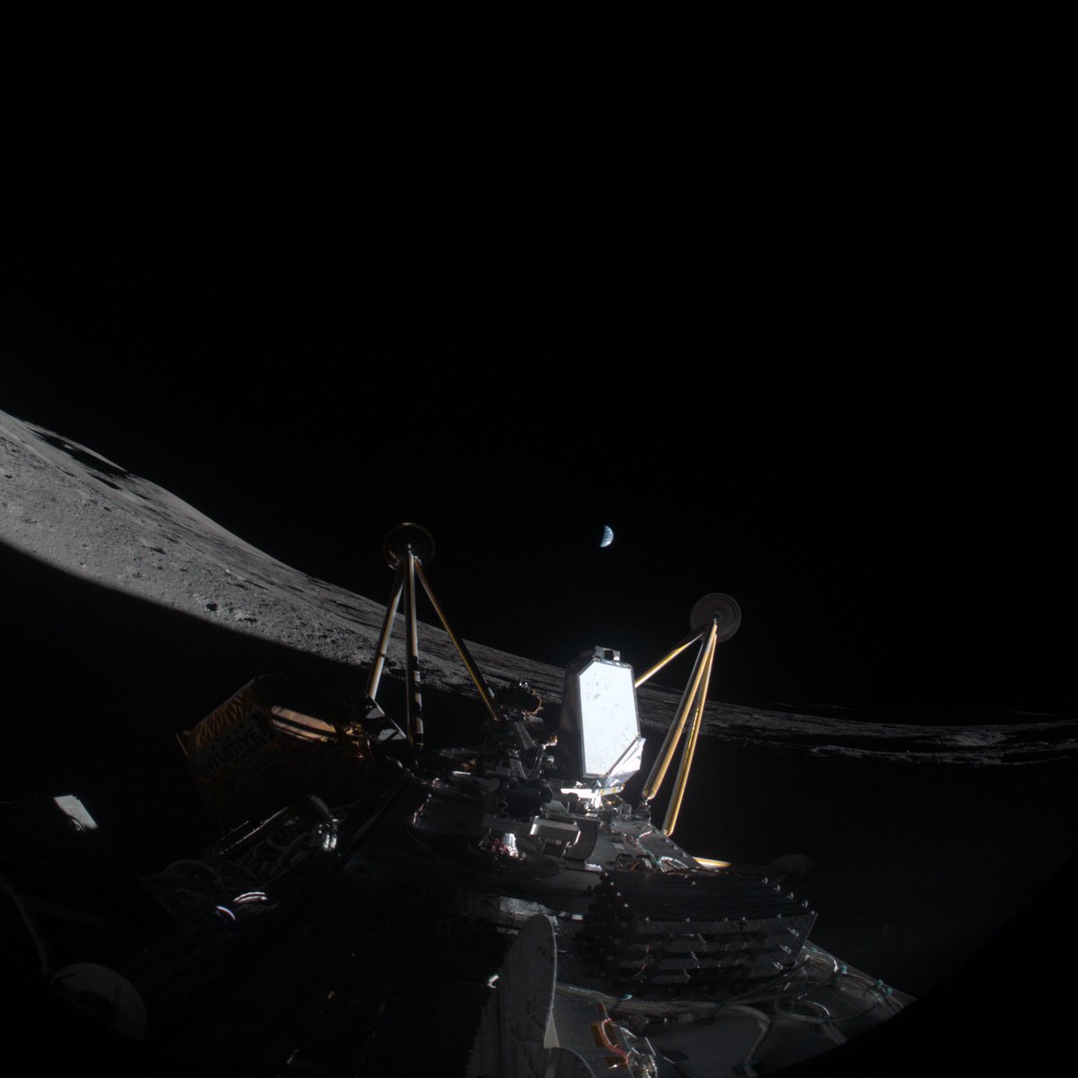 Ryan Caton tweet media