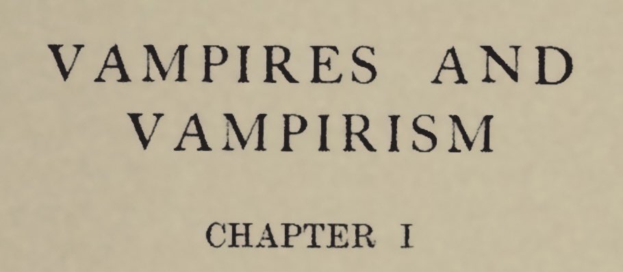 kiwi 🦇 tweet media