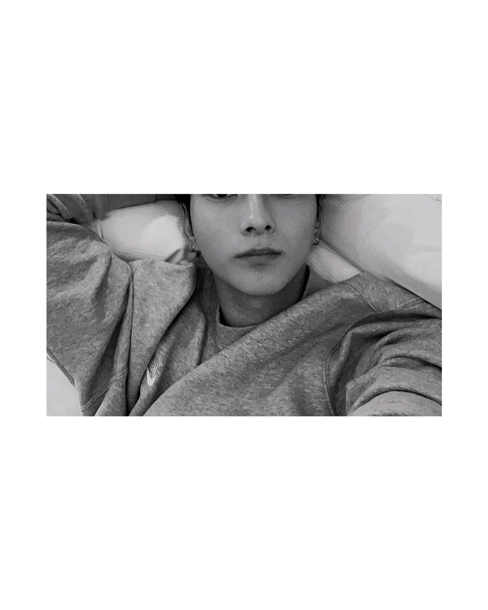 dear🌙 tweet media